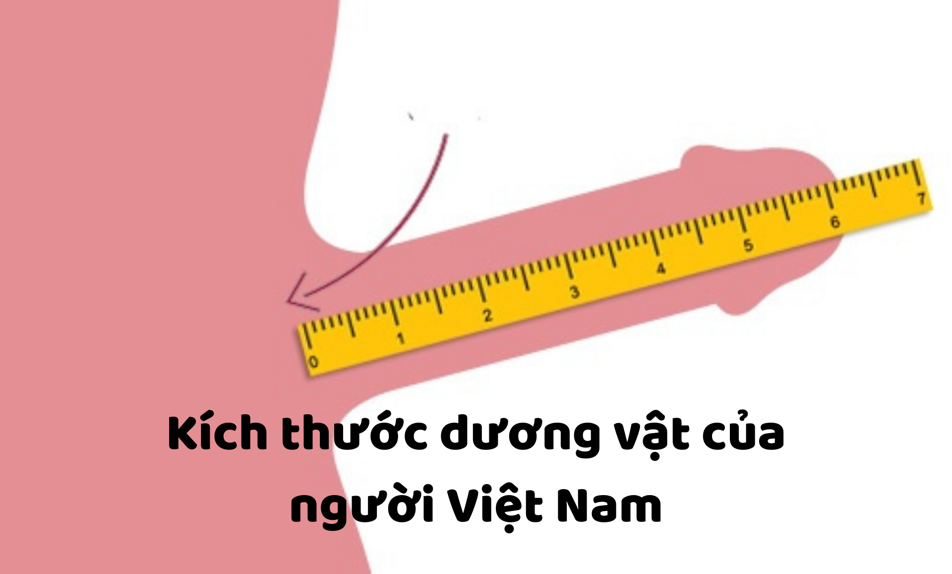 Trung bình kích thước dài ngắn dương vật người Việt Nam là bao nhiêu ?